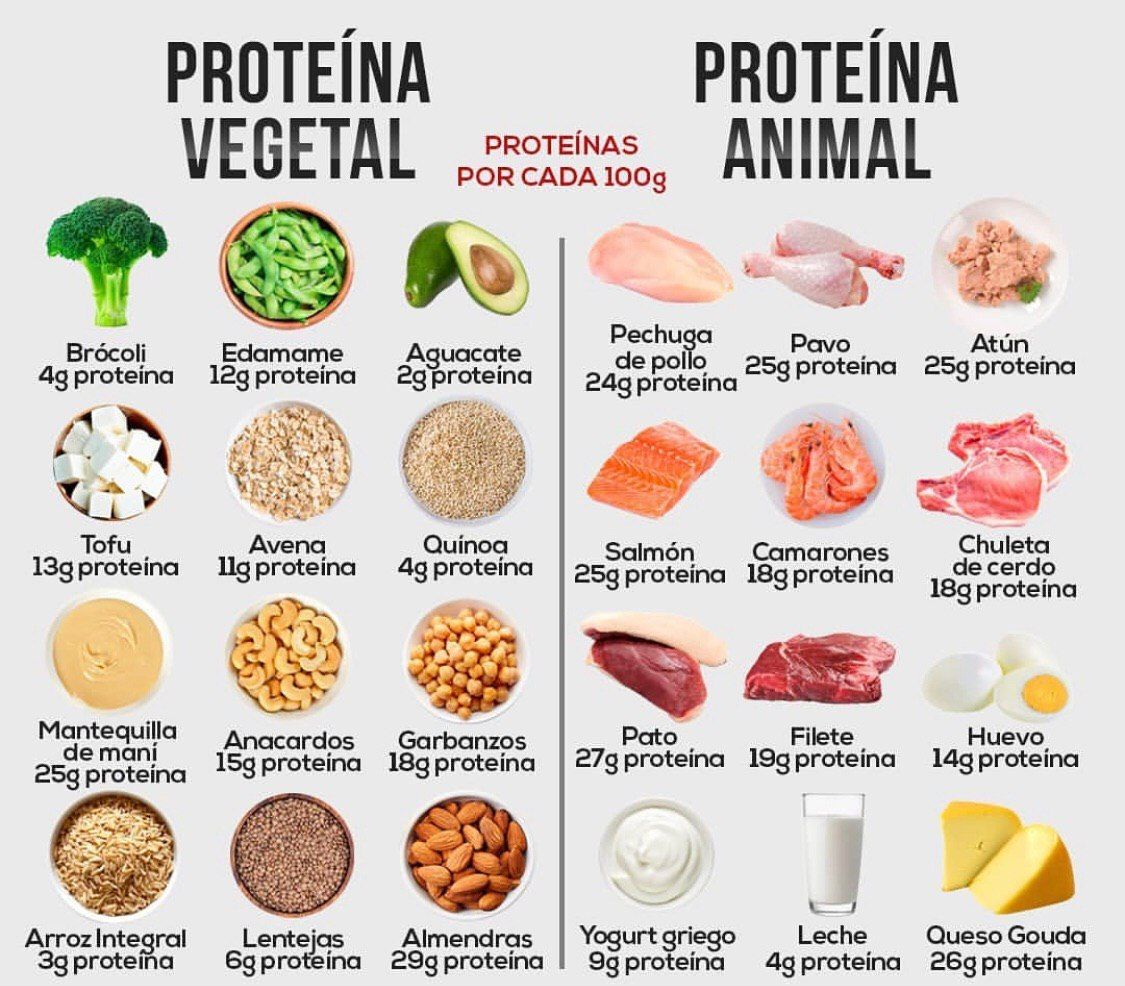 Tipos de Proteinas